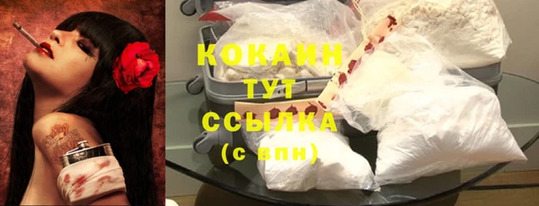 спайс Богданович