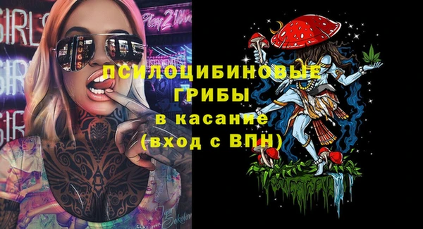 прущий лед Богородск