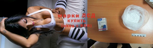 спайс Богданович
