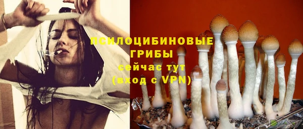 спайс Богданович